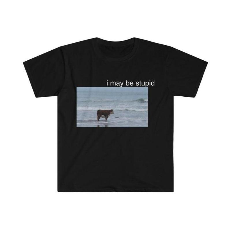 I May Be Stupid Cow on Beach Funny WoMeme T-Shirt / Sweatshirt / Hoodie