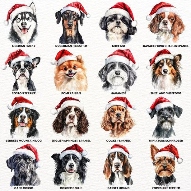 60 Watercolor Dog Breeds in Festive Santa Hat T-Shirt / Sweatshirt / Hoodie