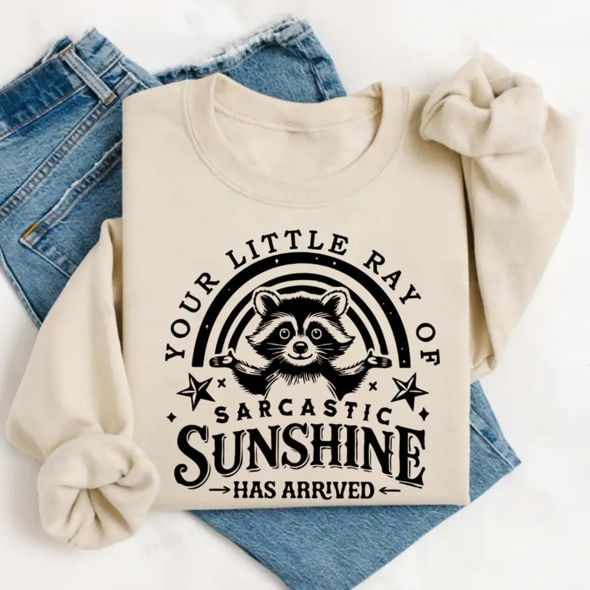 Your Little Ray Of Sarcastic Sunshine Funny Raccoon T-Shirt / Sweatshirt / Hoodie