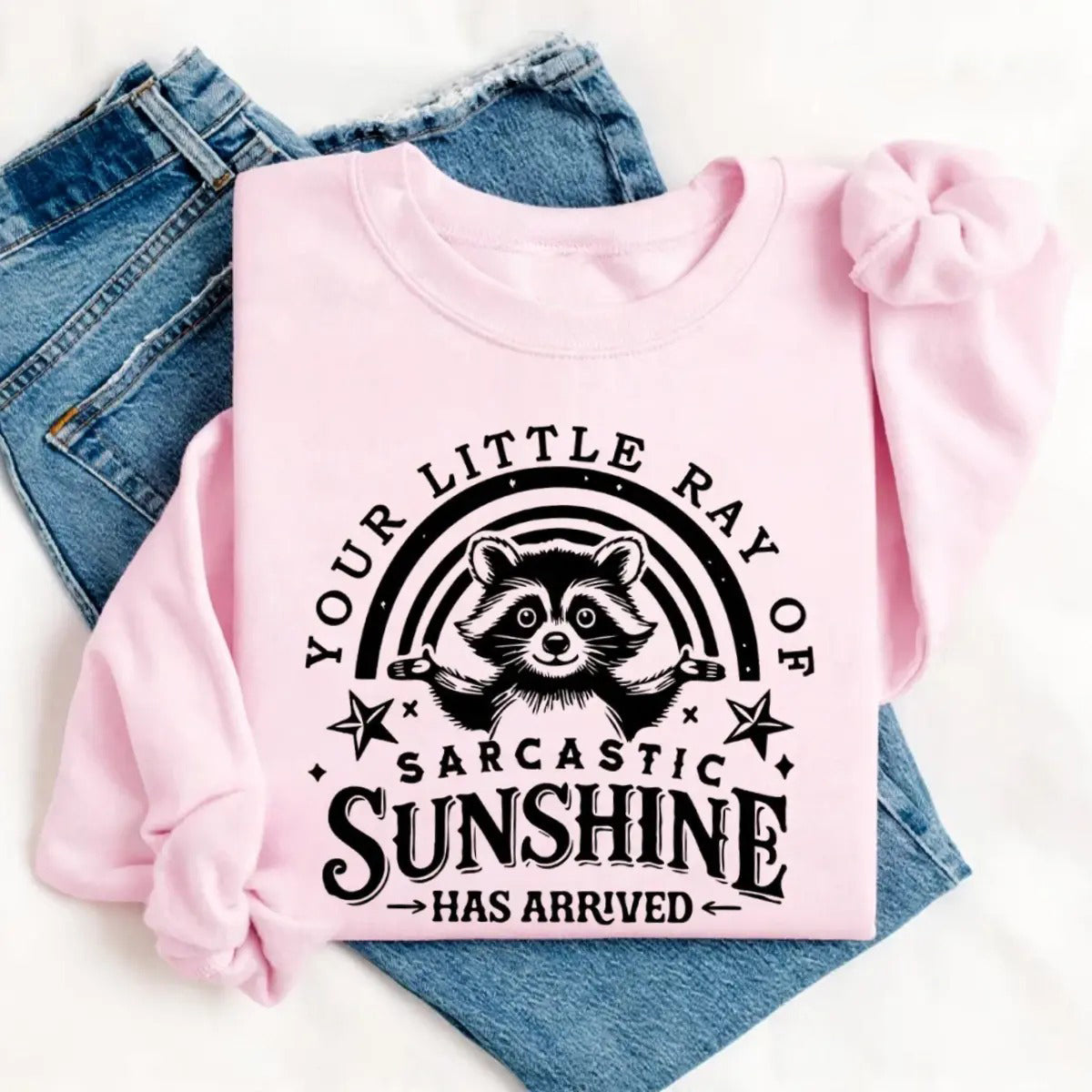 Your Little Ray Of Sarcastic Sunshine Funny Raccoon T-Shirt / Sweatshirt / Hoodie