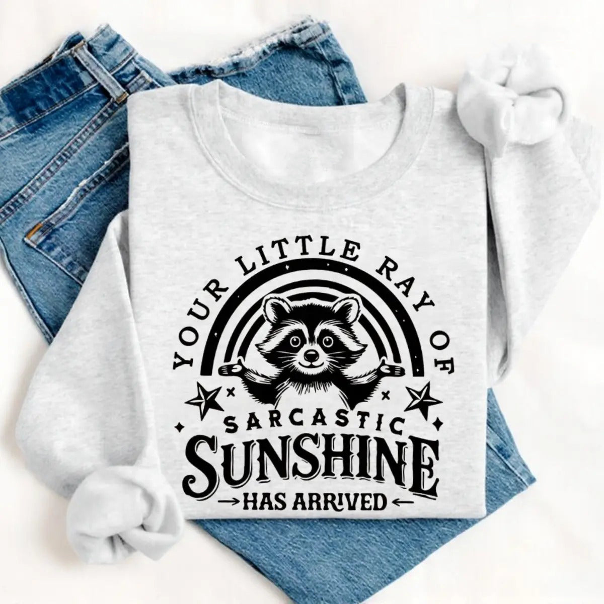 Your Little Ray Of Sarcastic Sunshine Funny Raccoon T-Shirt / Sweatshirt / Hoodie
