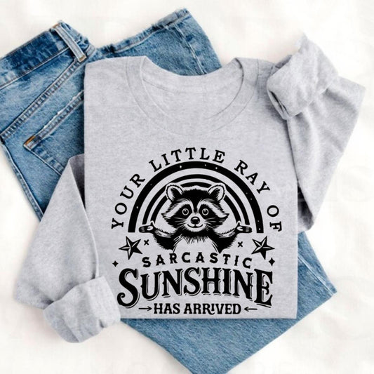 Your Little Ray Of Sarcastic Sunshine Funny Raccoon T-Shirt / Sweatshirt / Hoodie