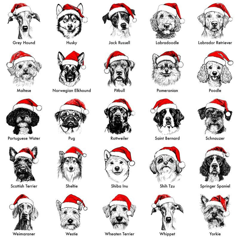 Custom Name Santa Paws Christmas Dog 50 Dog Breeds in Festive T-Shirt / Sweatshirt / Hoodie
